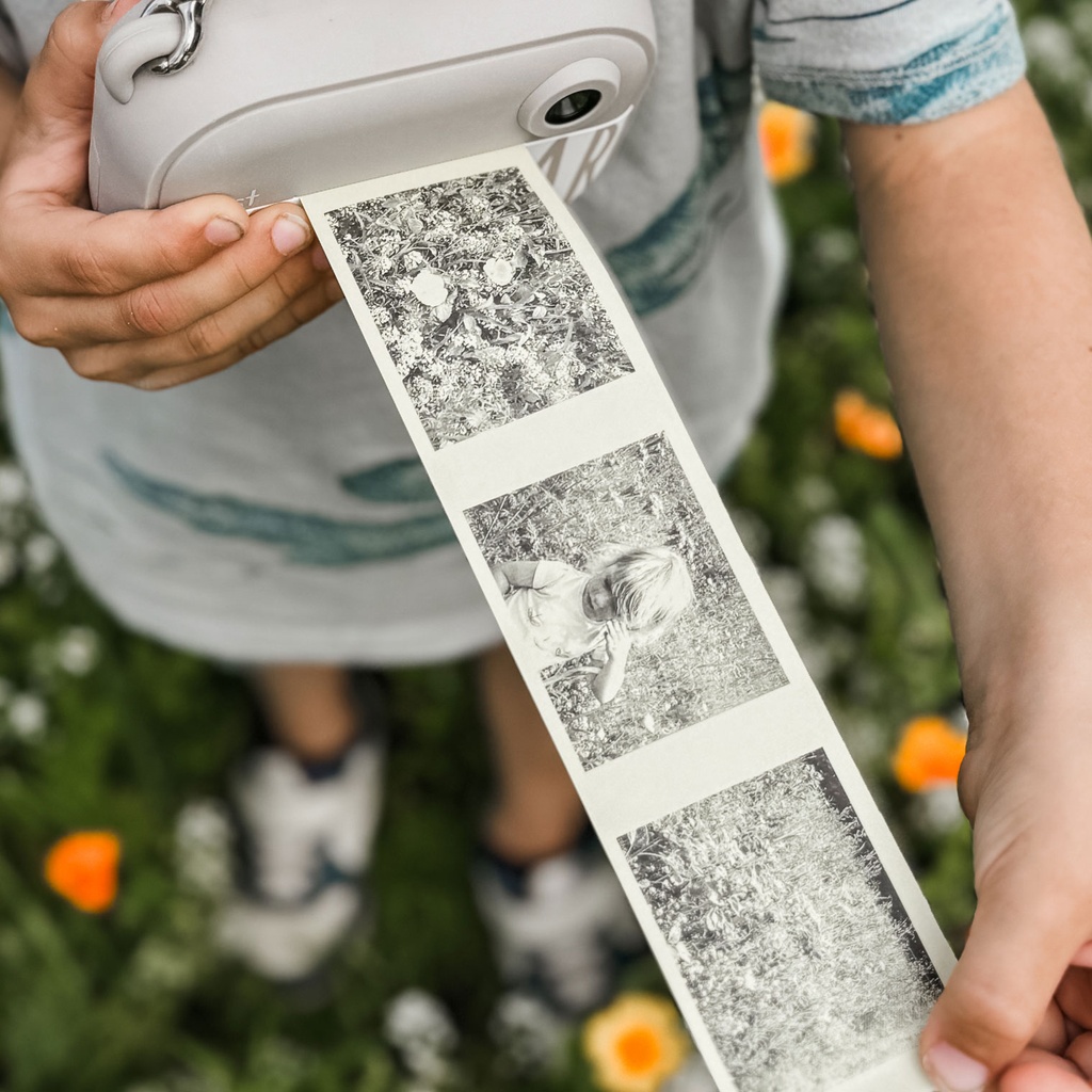 Papierrollen - Farbig - 3er Nachfüllpack