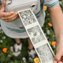 Papierrollen - Farbig - 3er Nachfüllpack